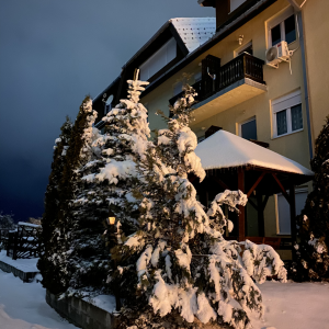 Zlatibor smeštaj, Smeštaj Zlatibor najpovoljnije cene, Apartmani Zlatibor direktno od vlasnika