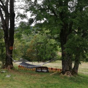 Zlatibor smeštaj, Smeštaj Zlatibor najpovoljnije cene, Apartmani Zlatibor direktno od vlasnika