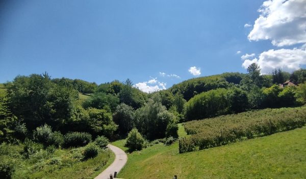 Zlatibor smeštaj, Smeštaj Zlatibor najpovoljnije cene, Apartmani Zlatibor direktno od vlasnika